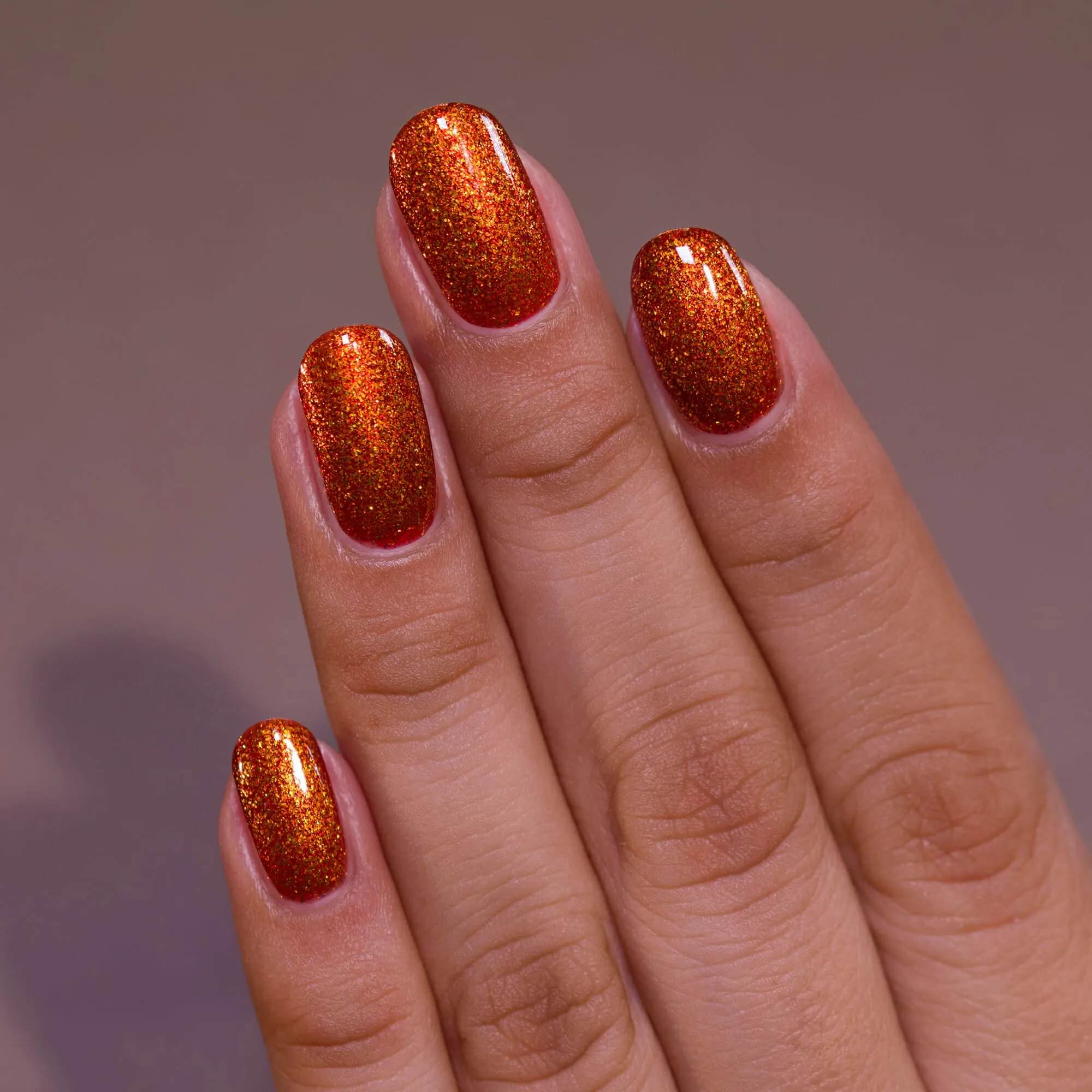 ILNP - Pumpkin Patch
