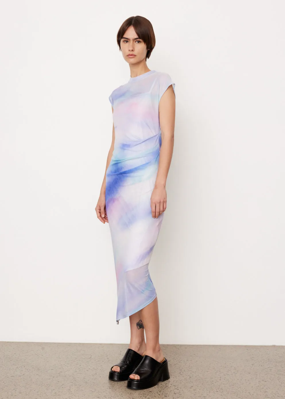 Serena Print Mesh Dress