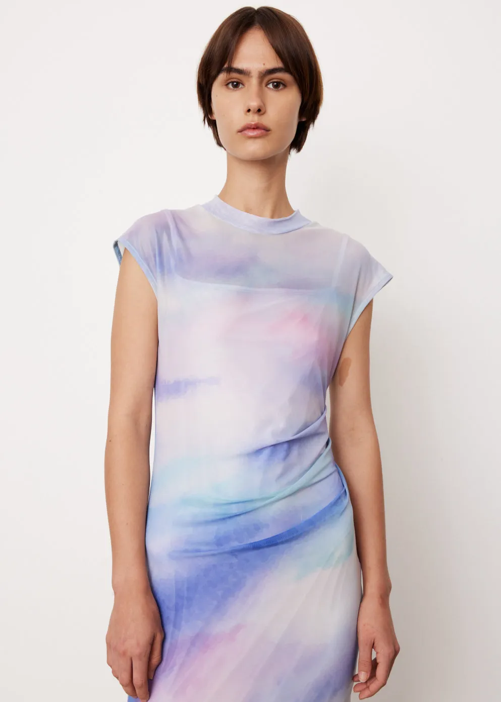 Serena Print Mesh Dress